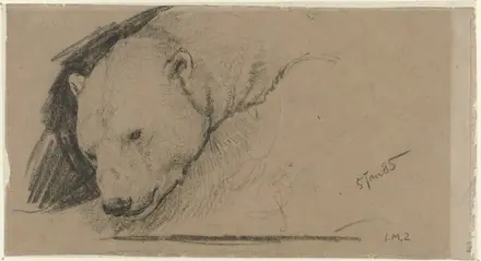 Kop van een ijsbeer Rijksmuseum SK-A-3707 — John Macallan Swan