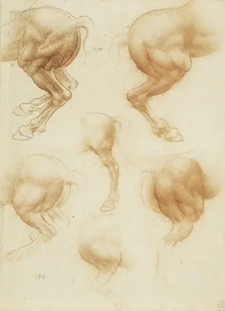 Attributed to Francesco Melzi - RCIN 912333, Studies of the hind-quarters of horses c.1517-18 — Leonardo da Vinci