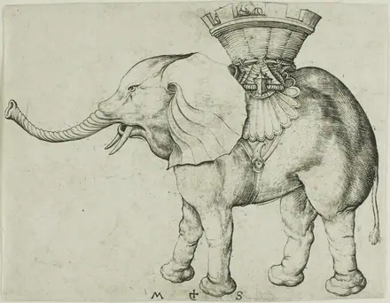 The Elephant — Martin Schongauer