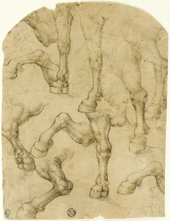 Sketches of Horses' (or Dromedaries') Legs (recto); Columns (verso) — Follower of Leonardo da Vinci