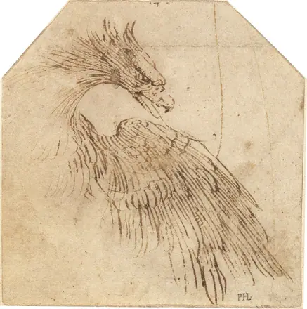 Titian, An Eagle, 1560-1565, NGA 72321 — Titian
