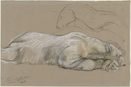 Studies van een liggende ijsbeer Rijksmuseum SK-A-3713 — John Macallan Swan