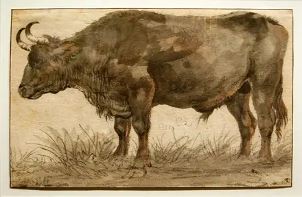 Cornelis Saftleven - Staande stier — Cornelis Saftleven