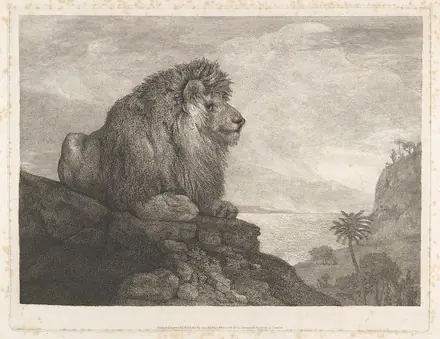 A Lion (A Lion Resting on a Rock) MET DP833337 — George Stubbs