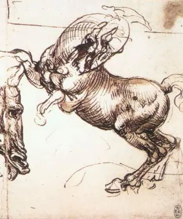 Leonardo da Vinci Pferdestudie Ausschnitt — Leonardo da Vinci