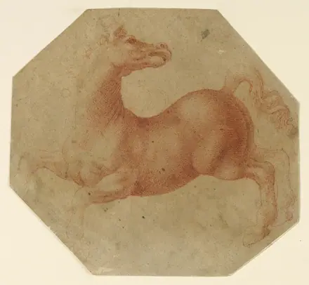 Drawing, Study of a Rearing Horse after Leonardo da Vinci, ca. 1520–25 (CH 18351271) — Unknown artist