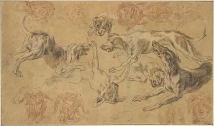 Frans Snyders - Sketch sheet with hunting dog studies and grotesque masks — Frans Snyders