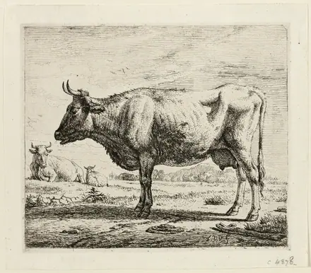 Two Cows and a Sheep — Adriaen van de Velde