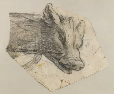 Charles Le Brun - Study of the head of a boar — Charles Le Brun