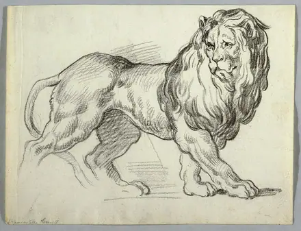 Drawing, Study of a Lion, ca. 1815 (CH 18126563) — Unknown artist