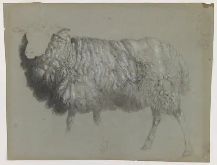 Brooklyn Museum - Study of a Ewe - Albert Bierstadt — Albert Bierstadt
