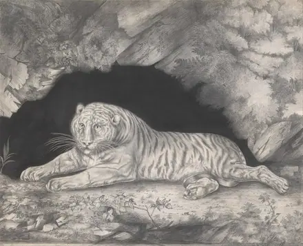 Elizabeth Pringle - A Tiger Lying in the Entrance of a Cave - Google Art Project — Elizabeth Pringle – Artist Details on Google Art Project