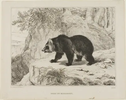 Mississippi Bear — Antoine Louis Barye