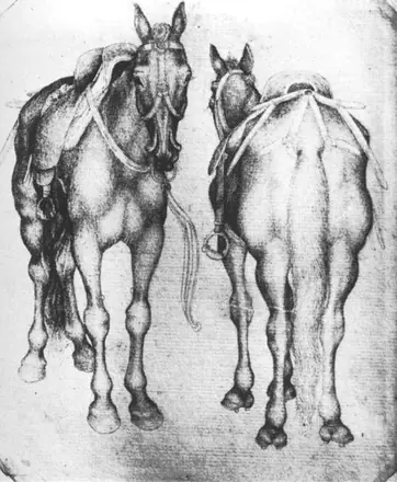 Pisanello - Horses - WGA17858