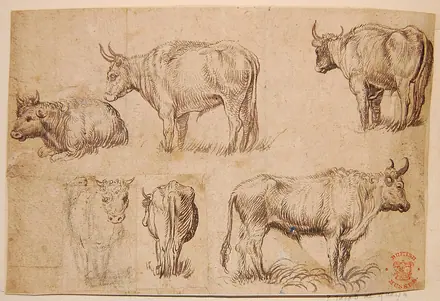 Elsheimer - Formerly attributed to - Six studies of oxen, one of 179 drawings from the 1637 album, SL,5219.118 — Adam Elsheimer
