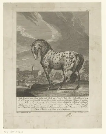 Bijzondere tijgerschimmel De 100 meest wonderlijke herten en andere dieren (serietitel), RP-P-1888-A-14018 — Martin Elias Ridinger / After Hugh Douglas Hamilton