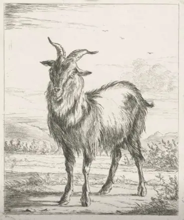 Gaal Staande Geit — Jacobus Cornelis Gaal