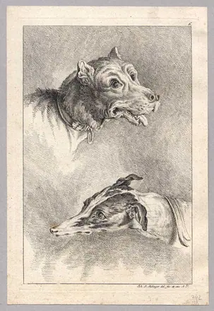 Anatomie Studie Köpfe Hund 2 Ridinger