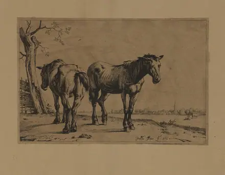 Two Horses SAAM-1967.54.65 1 — Potter, Paulus