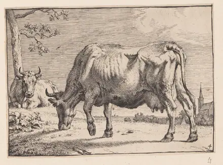 The Grazing Cow, from Various Oxen and Cows