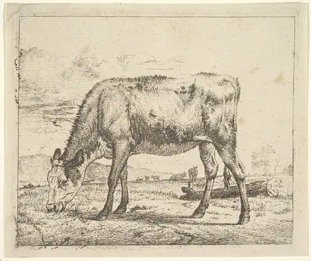 Grazing Calf, from Different Animals MET DP828088