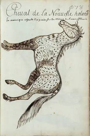 Codex canadensis, p. 78 — Louis Nicolas