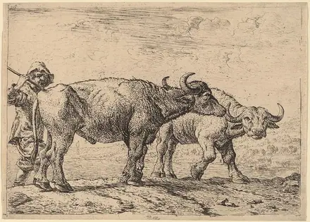Pieter van Laer, Two Buffaloes and a Herdsman, NGA 60674