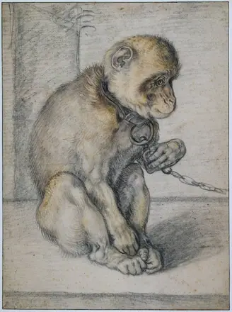 Hendrik Goltzius - Een zittende aap aan een ketting