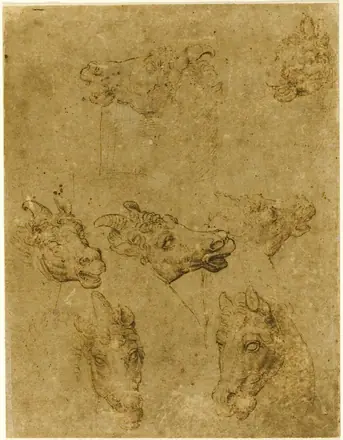 Heads of Horses and Unicorns