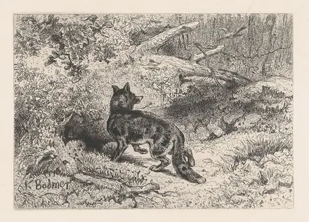A Fox MET DP874278