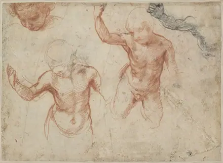 Andrea del Sarto - Recto studies for the head, torso and right arm of a boy, 2537 r
