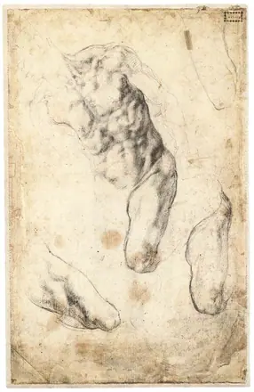 Michelangelo - Studies of a Male Torso and Left Leg (verso), 1519-21