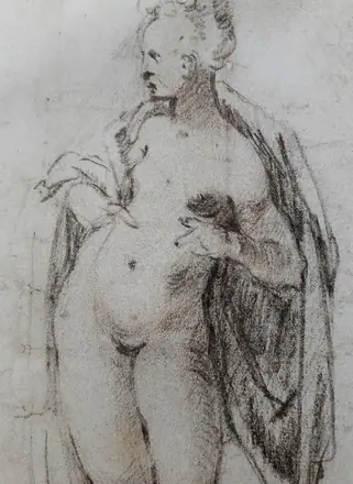 Spranger Study of a female nude (detail) 01