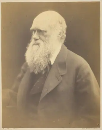 Charles Darwin — Julia Margaret Cameron