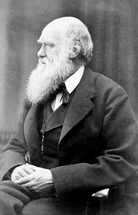 Charles Darwin photograph by Oscar Rejlander, circa 1871-b&w — Oscar Gustave Rejlander