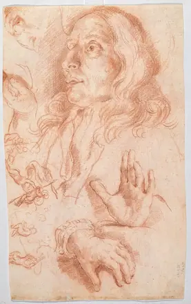 Guillaume Courtois - Self-portrait and studies of hands