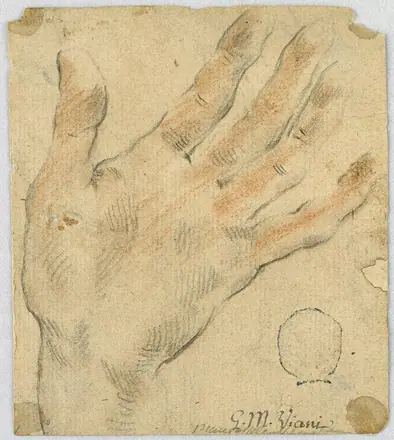Drawing, Study- A left hand, 1650–1700 (CH 18118675) — Unknown artist