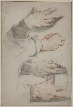 Four studies of a right hand (SM 805z)