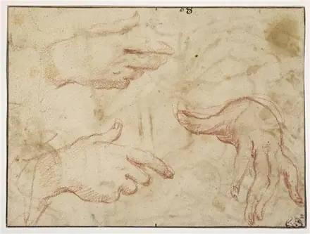 Carracci - Trois études de mains, INV 7399, Recto