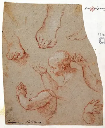 Carlo Maratta - Studies of hands, feet and a male head — Carlo Maratta