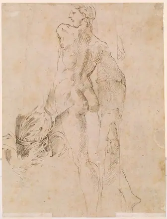 Parmigianino - Verso Standing Male Nude and Study of Drapery, IV, 42