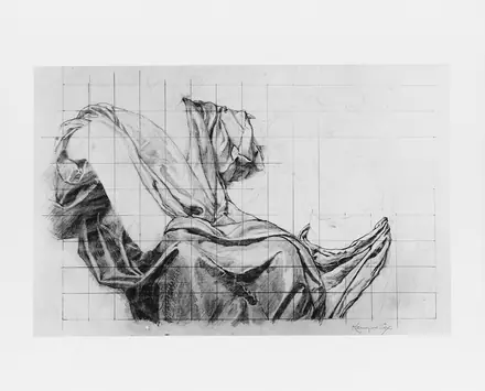 Science Instructing Industry- Drapery Study MET 147790