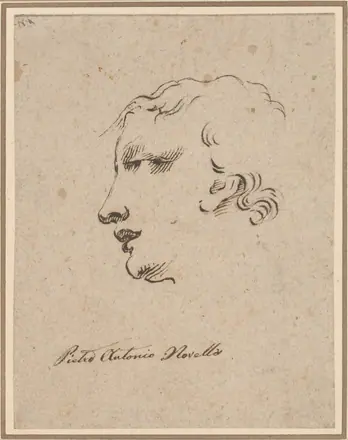 Head of a Man