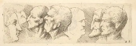 Head studies