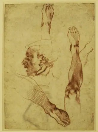 Study of a head — Michelangelo