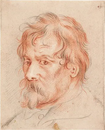 Jacob Jordaens - Head Study of a Bearded Man