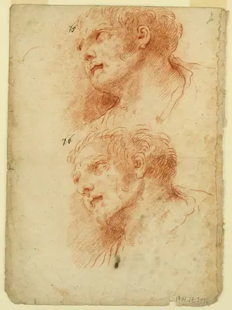 Drawing, Four Studies After the Head of a Man, early 18th century (CH 18120681) — Unknown artist