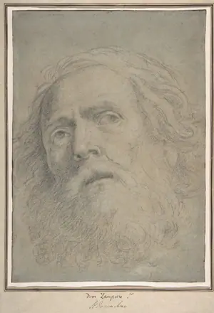 Head of a Bearded Man — Domenichino