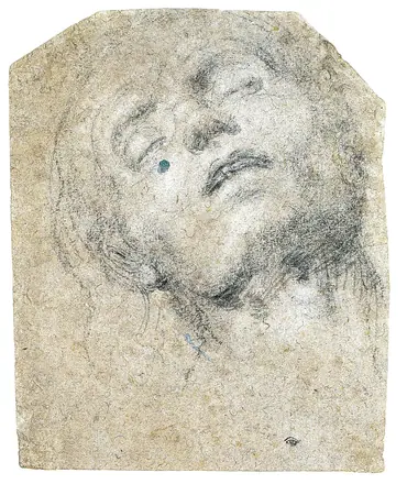 Study of a Head MET 46Q 120R2 — Giovanni Girolamo Savoldo
