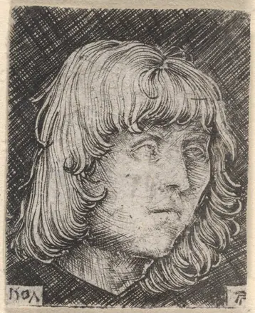Head of a Young Man — Albrecht Altdorfer